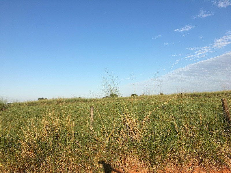 Fazenda Santo Ant Nio Hectares Junqueir Polis Nossas Ofertas