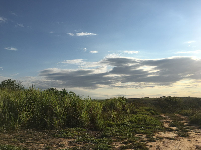 Fazenda Santo Ant Nio Hectares Junqueir Polis Nossas Ofertas